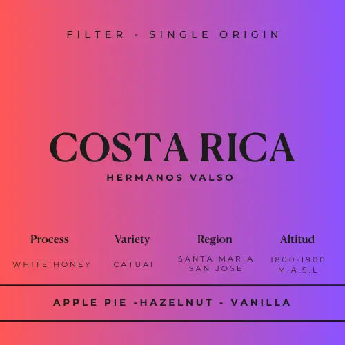 COSTA RICA, HERMANOS VALSO - Filter Roast