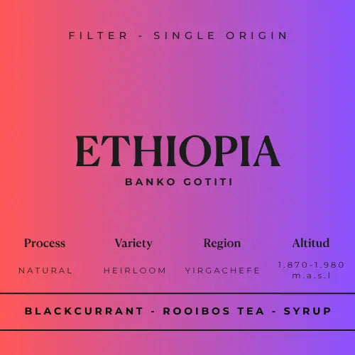 ETHIOPIA, BANKO GOTITI - Filter Roast