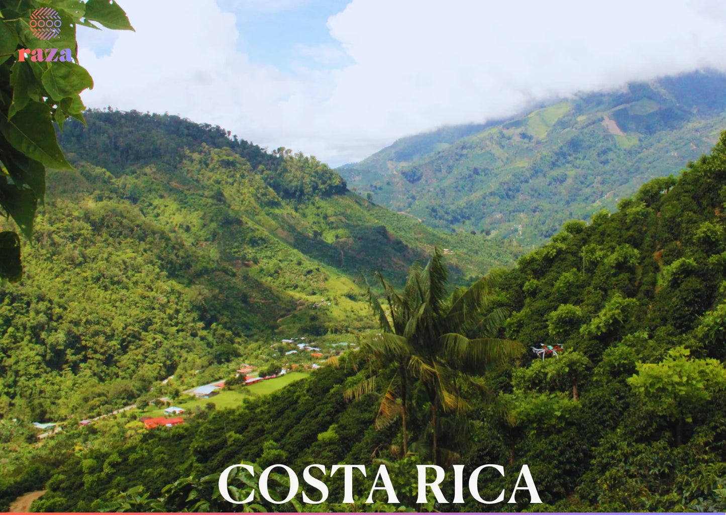 COSTA RICA, LA EVA - Espresso Roast