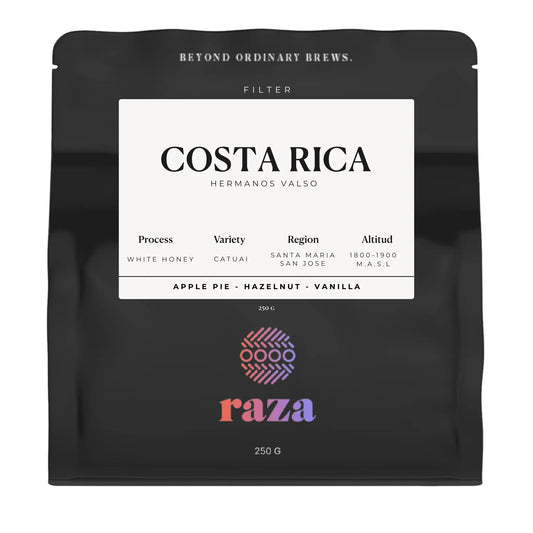 COSTA RICA, HERMANOS VALSO   - Filter Roast
