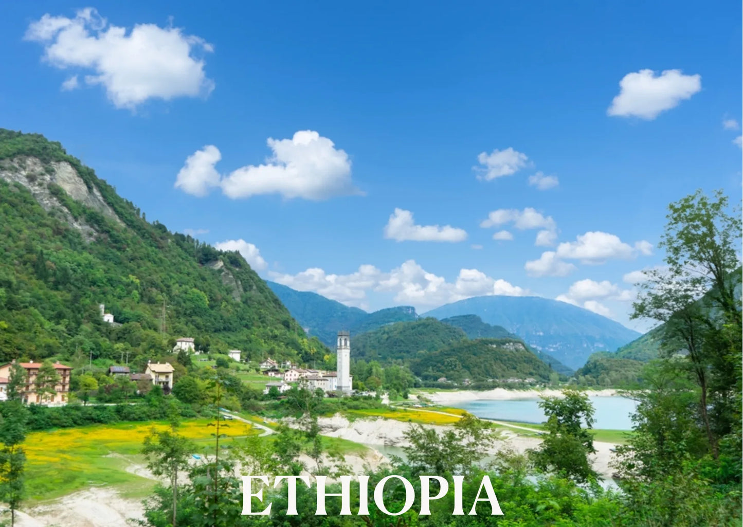 ETHIOPIA, Guji Gogogu - Espresso Roast