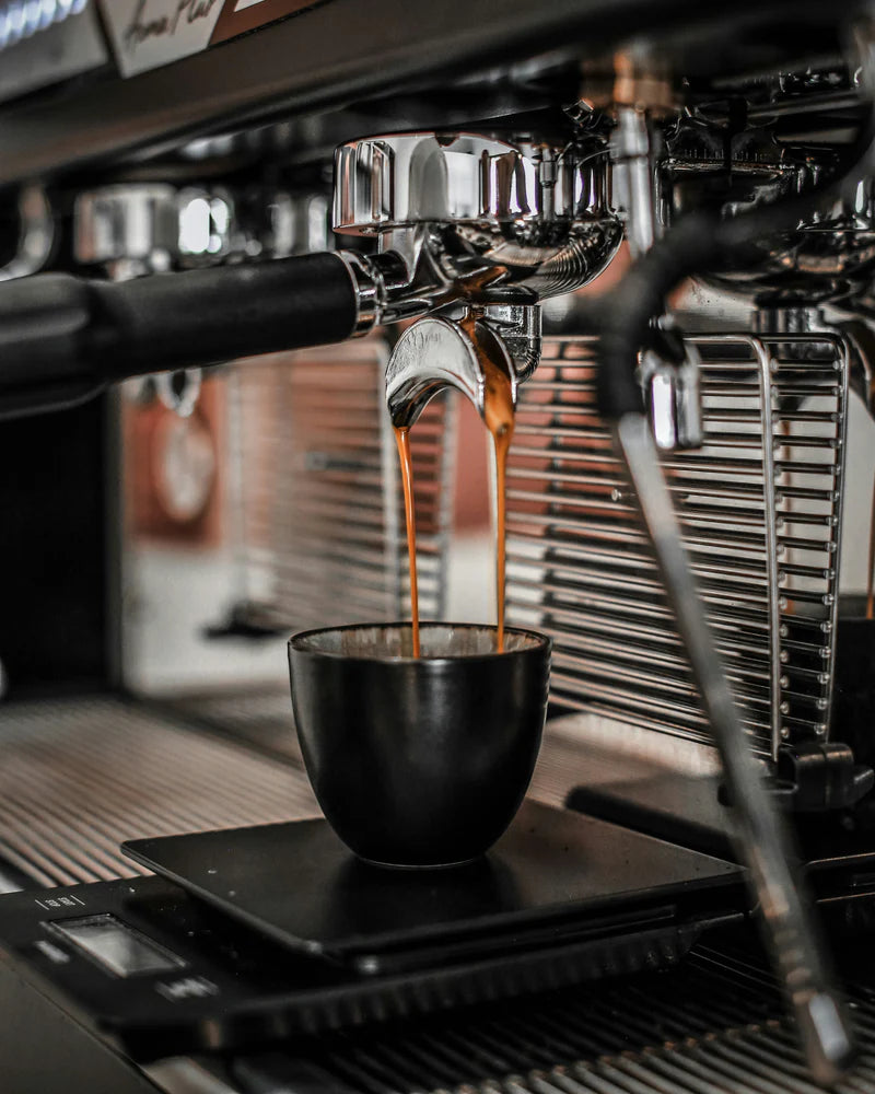 Harmony espresso with dense crema