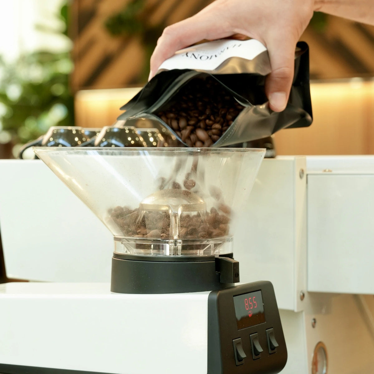 HARMONY BLEND - Espresso Roast